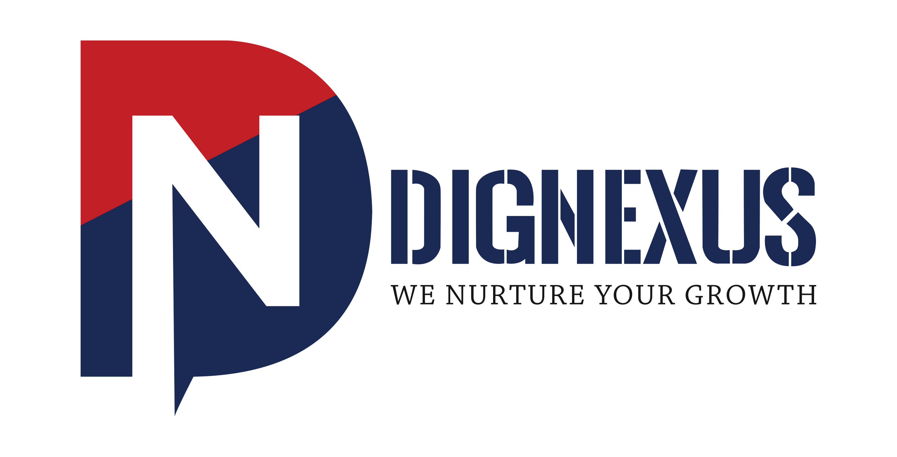 Dignexus- You Perfect Website Partner